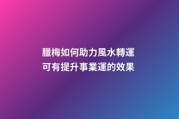 臘梅如何助力風水轉運 可有提升事業運的效果